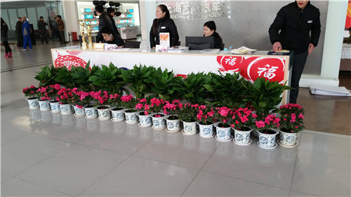 4S店前臺植物租賃