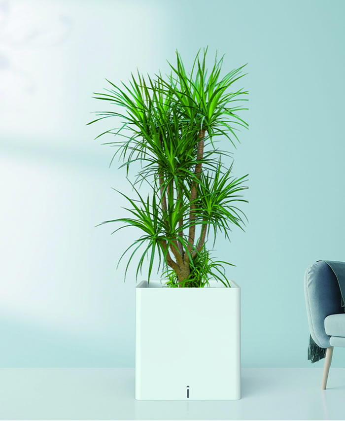 室內(nèi)租賃組合花箱