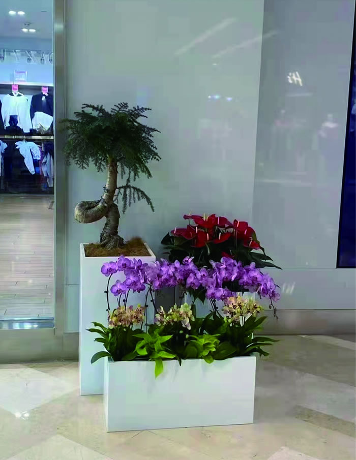 室內(nèi)租賃組合花箱