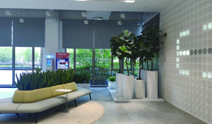 室內(nèi)租賃組合花箱